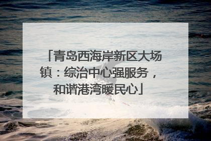 青岛西海岸新区大场镇：综治中心强服务，和谐港湾暖民心