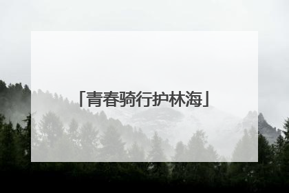 青春骑行护林海