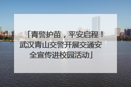 青警护苗，平安启程！武汉青山交警开展交通安全宣传进校园活动