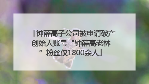 钟薛高子公司被申请破产 创始人账号“钟薛高老林”粉丝仅1800余人