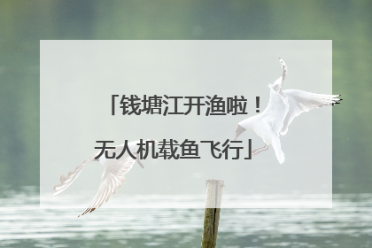 钱塘江开渔啦！无人机载鱼飞行