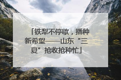 铁犁不停歇，播种新希望——山东“三夏”抢收抢种忙
