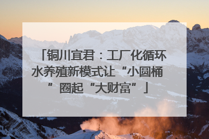铜川宜君：工厂化循环水养殖新模式让“小圆桶”圈起“大财富”