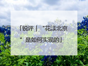 锐评｜“花漾北京”是如何实现的