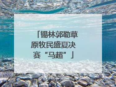 锡林郭勒草原牧民盛夏决赛“马超”