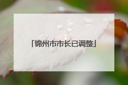 锦州市市长已调整
