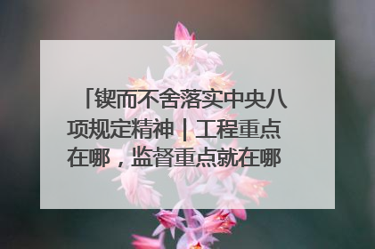 锲而不舍落实中央八项规定精神｜工程重点在哪，监督重点就在哪——广西深化政治监督护航平陆运河建设