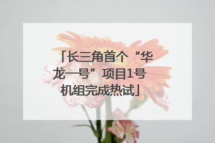 长三角首个“华龙一号”项目1号机组完成热试