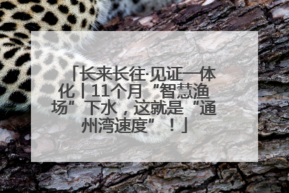 长来长往·见证一体化丨11个月“智慧渔场”下水,这就是“通州湾速度”!