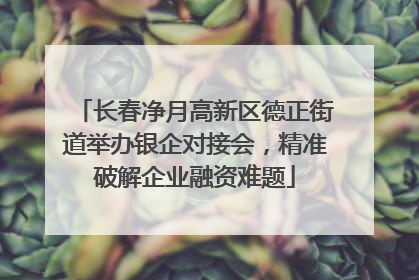 长春净月高新区德正街道举办银企对接会，精准破解企业融资难题