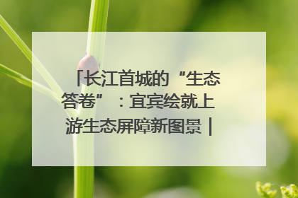 长江首城的“生态答卷”：宜宾绘就上游生态屏障新图景｜中华环保世纪行