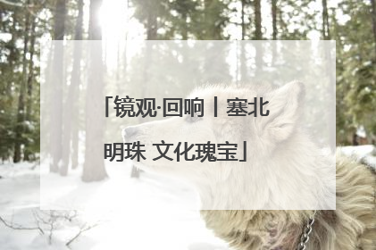 镜观·回响丨塞北明珠 文化瑰宝
