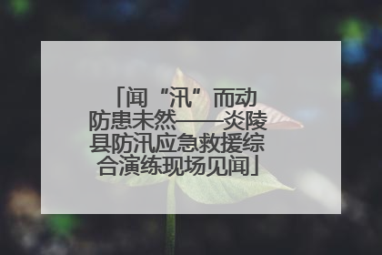 闻“汛”而动 防患未然——炎陵县防汛应急救援综合演练现场见闻