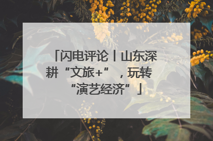 闪电评论丨山东深耕“文旅+”，玩转“演艺经济”