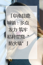 阜南县鹿城镇：多点发力 筑牢秸秆禁烧“防火墙”