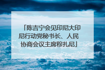 陈吉宁会见印尼大印尼行动党秘书长、人民协商会议主席穆扎尼