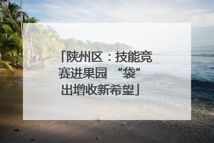陕州区：技能竞赛进果园 “袋”出增收新希望