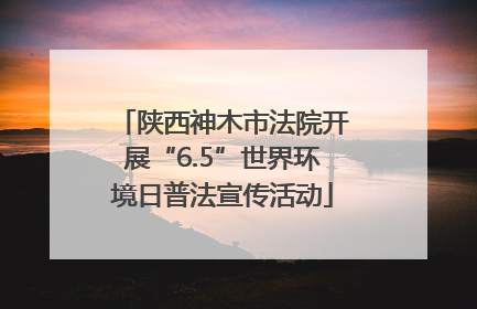 陕西神木市法院开展“6.5”世界环境日普法宣传活动