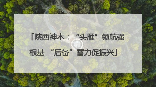 陕西神木：“头雁”领航强根基 “后备”蓄力促振兴