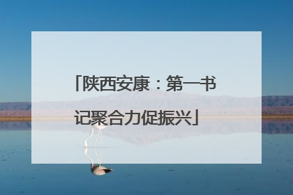 陕西安康：第一书记聚合力促振兴