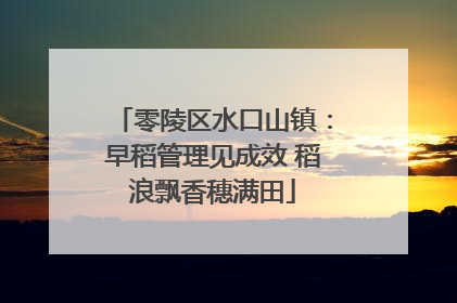 零陵区水口山镇：早稻管理见成效 稻浪飘香穗满田