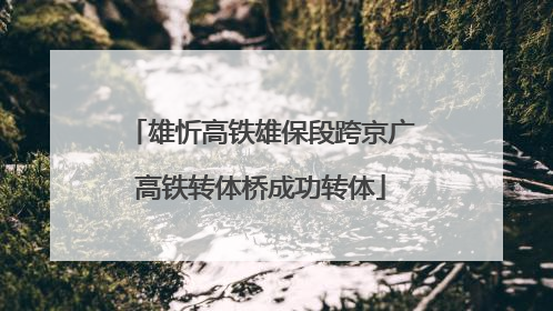 雄忻高铁雄保段跨京广高铁转体桥成功转体
