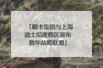 顺丰集团与上海迪士尼度假区宣布数年战略联盟
