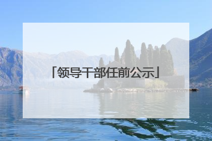 领导干部任前公示