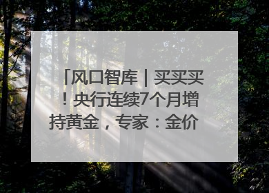 风口智库｜买买买！央行连续7个月增持黄金，专家：金价或仍易涨难跌