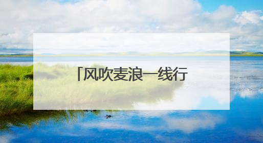 风吹麦浪一线行丨定州：土地托管带来稳产增收