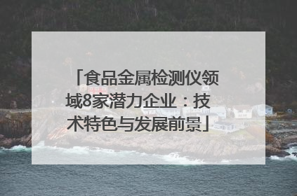 食品金属检测仪领域8家潜力企业：技术特色与发展前景
