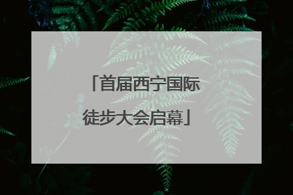 首届西宁国际徒步大会启幕