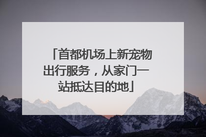首都机场上新宠物出行服务，从家门一站抵达目的地