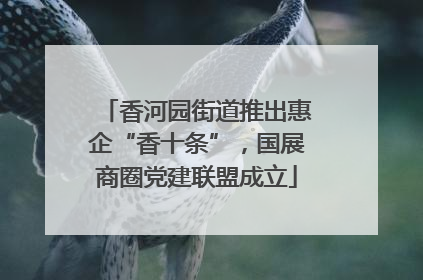 香河园街道推出惠企“香十条”，国展商圈党建联盟成立