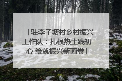 驻李子塘村乡村振兴工作队：扎根热土践初心 绘就振兴新画卷