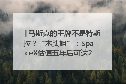 马斯克的王牌不是特斯拉？“木头姐”：SpaceX估值五年后可达2.5万亿美元！