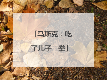 马斯克：吃了儿子一拳