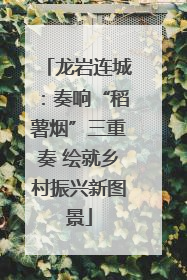 龙岩连城：奏响“稻薯烟”三重奏 绘就乡村振兴新图景