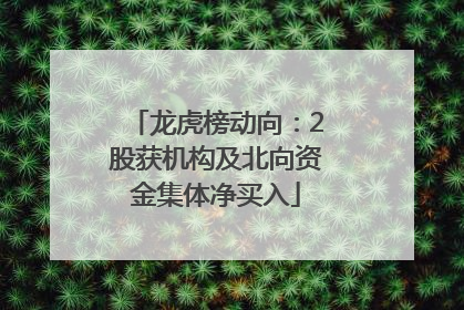 龙虎榜动向：2股获机构及北向资金集体净买入