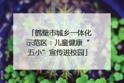 鹤壁市城乡一体化示范区：儿童健康“五小”宣传进校园