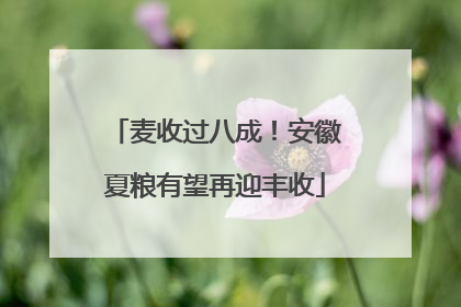 麦收过八成！安徽夏粮有望再迎丰收