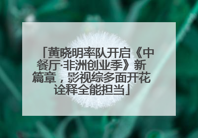 黄晓明率队开启《中餐厅·非洲创业季》新篇章，影视综多面开花诠释全能担当