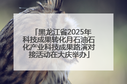 黑龙江省2025年科技成果转化月石油石化产业科技成果路演对接活动在大庆举办