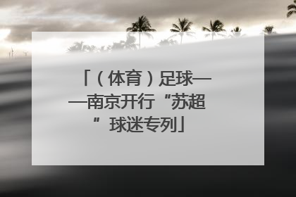 （体育）足球——南京开行“苏超”球迷专列