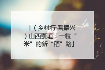（乡村行·看振兴）山西襄垣：一粒“米”的新“稻”路