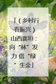 （乡村行·看振兴）山西襄垣：向“林”发力 借“绿”生金
