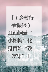 （乡村行·看振兴）江西铜鼓“小杨梅”化身百姓“致富果”