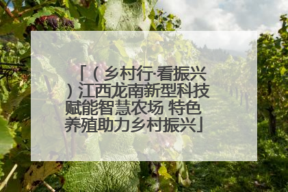（乡村行·看振兴）江西龙南新型科技赋能智慧农场 特色养殖助力乡村振兴