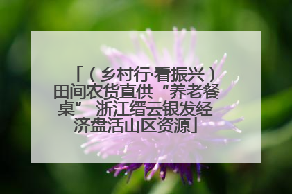 （乡村行·看振兴）田间农货直供“养老餐桌” 浙江缙云银发经济盘活山区资源