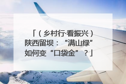 （乡村行·看振兴）陕西留坝：“满山绿”如何变“口袋金”？